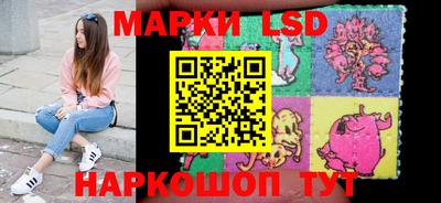 гашик Донецк