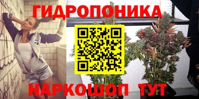 хмурый Донской