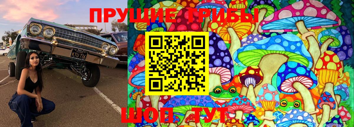 Псилоцибиновые грибы Cubensis Кинешма