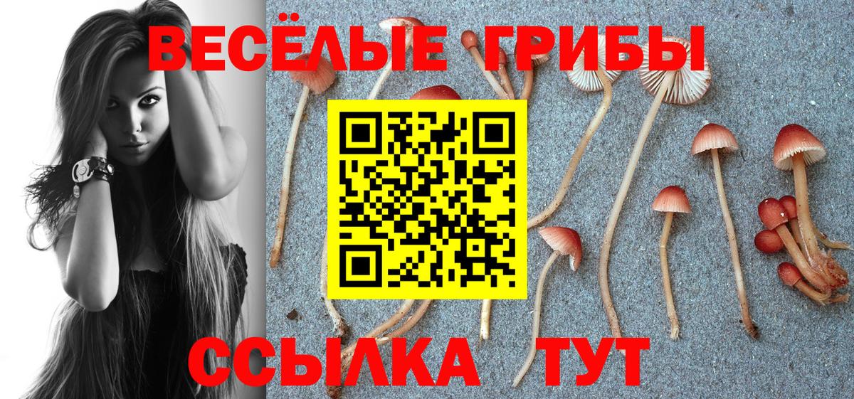 Кинешма  Псилоцибиновые грибы мицелий  Вход с VPN 